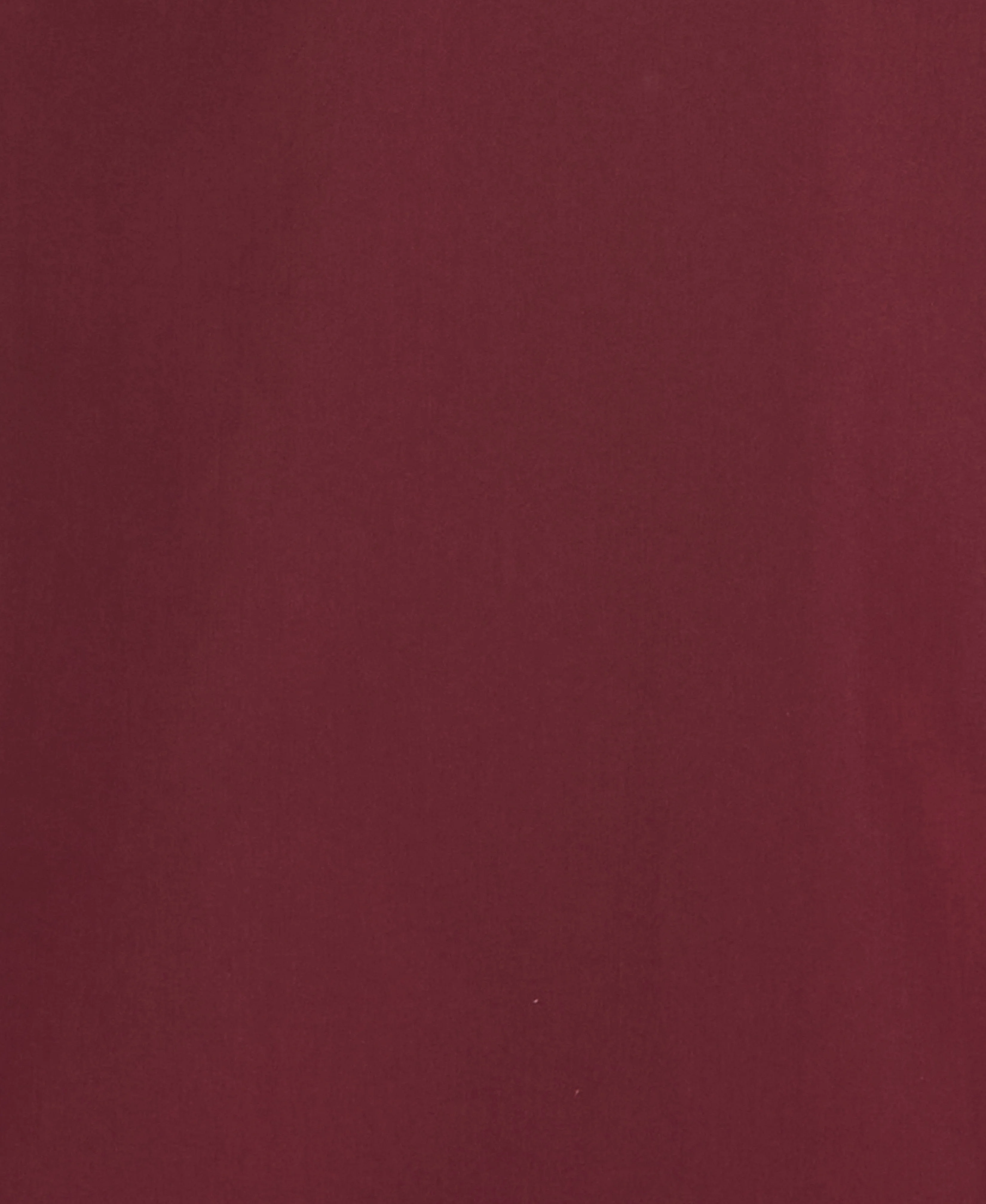 Tonal Argyle Embroidery Shirt - Image 6